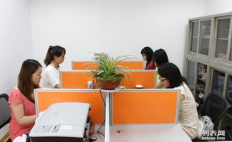 軟硬件開發(fā)職場生存法則 從技能精進到職業(yè)發(fā)展的全面指南