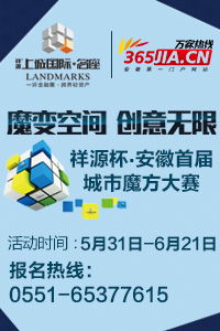 馬鋼股份收購(gòu)法國(guó)公司 境外收購(gòu)成皖企重要投資方式